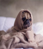 大兴安岭有这样的手机号码，留不住钱，你中枪了吗？