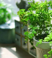 大兴安岭专属于你的开运指南，助你鸿运当头福满身！