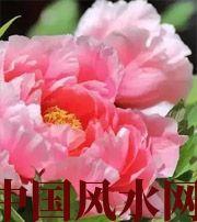 大兴安岭预示你财运上升，姻缘可成的梦境，快来看看吧！