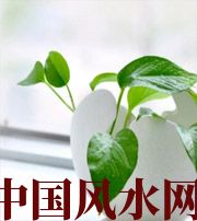 大兴安岭家中摆放六种吉祥物，会打开您的财运大门！