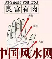 大兴安岭这个地方肉越多，财运就越好