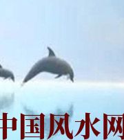 大兴安岭做梦梦到这些，是要富裕的征兆！